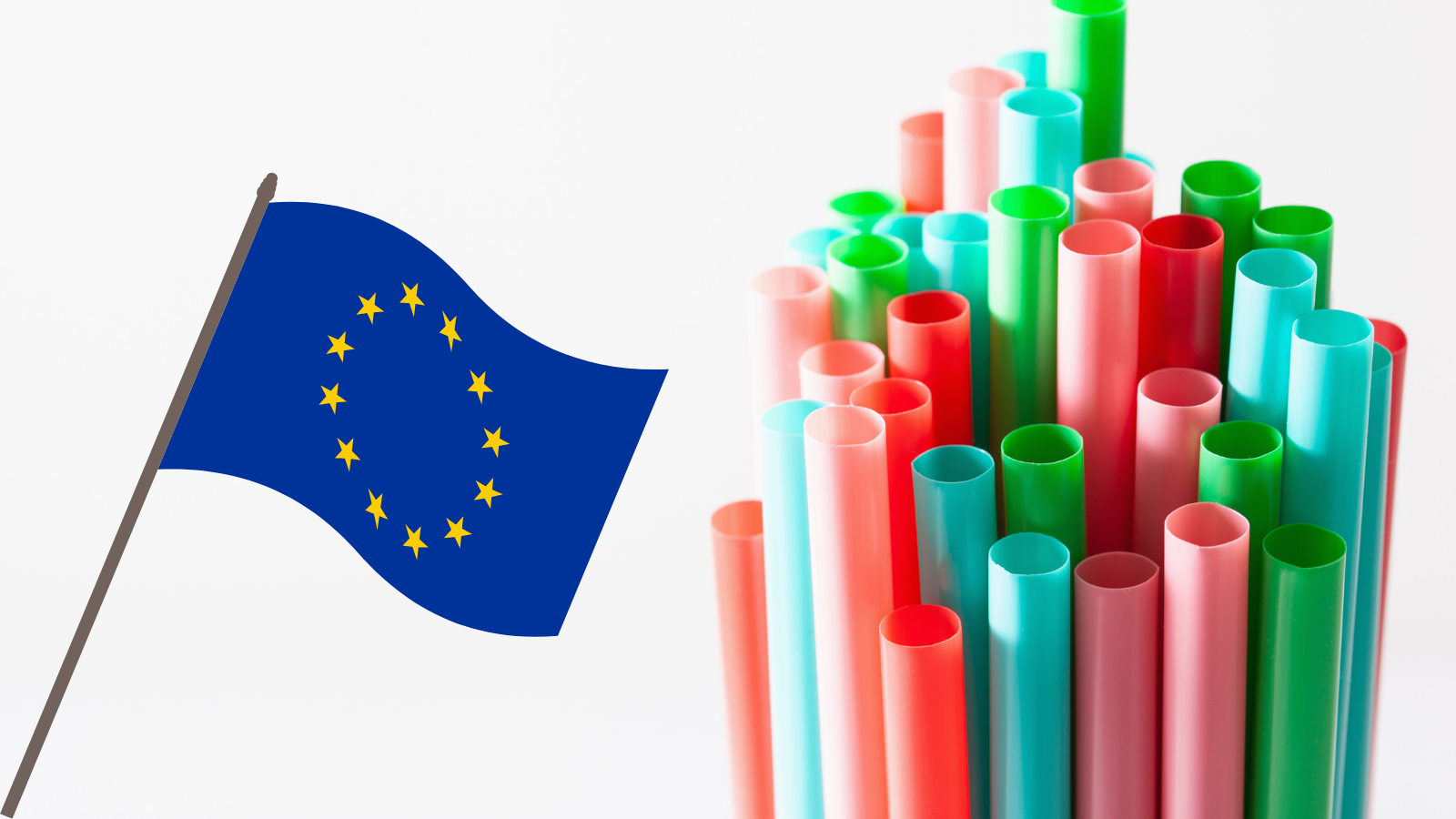 Single-Use Plastics, an urgent issue and a priority for the EU